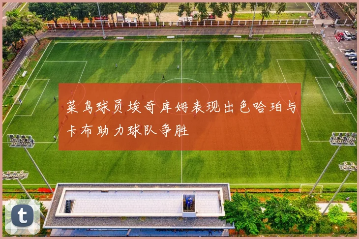 菜鸟球员埃奇库姆表现出色哈珀与卡布助力球队争胜